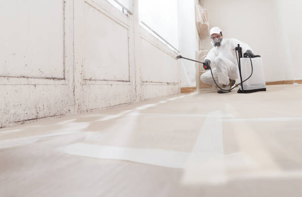 24/7 Emergency Mold Remediation experts in Clearfield, PA