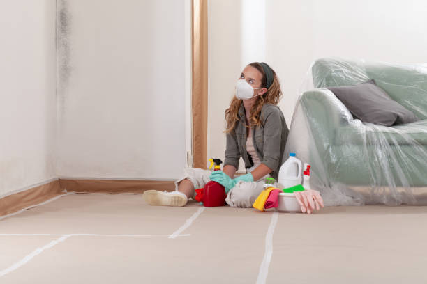 Reliable Mold Remediation contractor in Clearfield, PA by Mold Remediation HQ